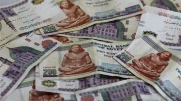 مضاعفة رأس المال في شهادة البنك العربي الإفريقي بعد مرور 4 سنوات